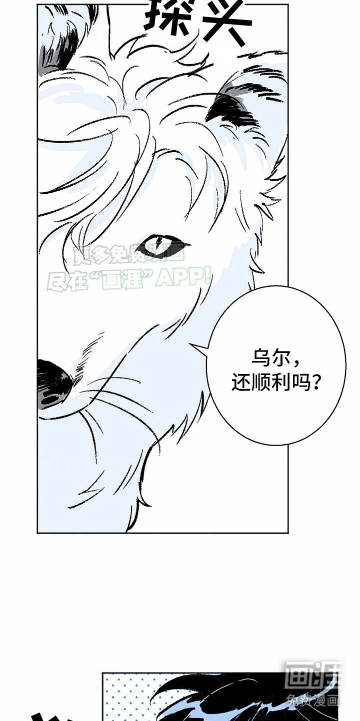 第3章：狼新娘：连心草