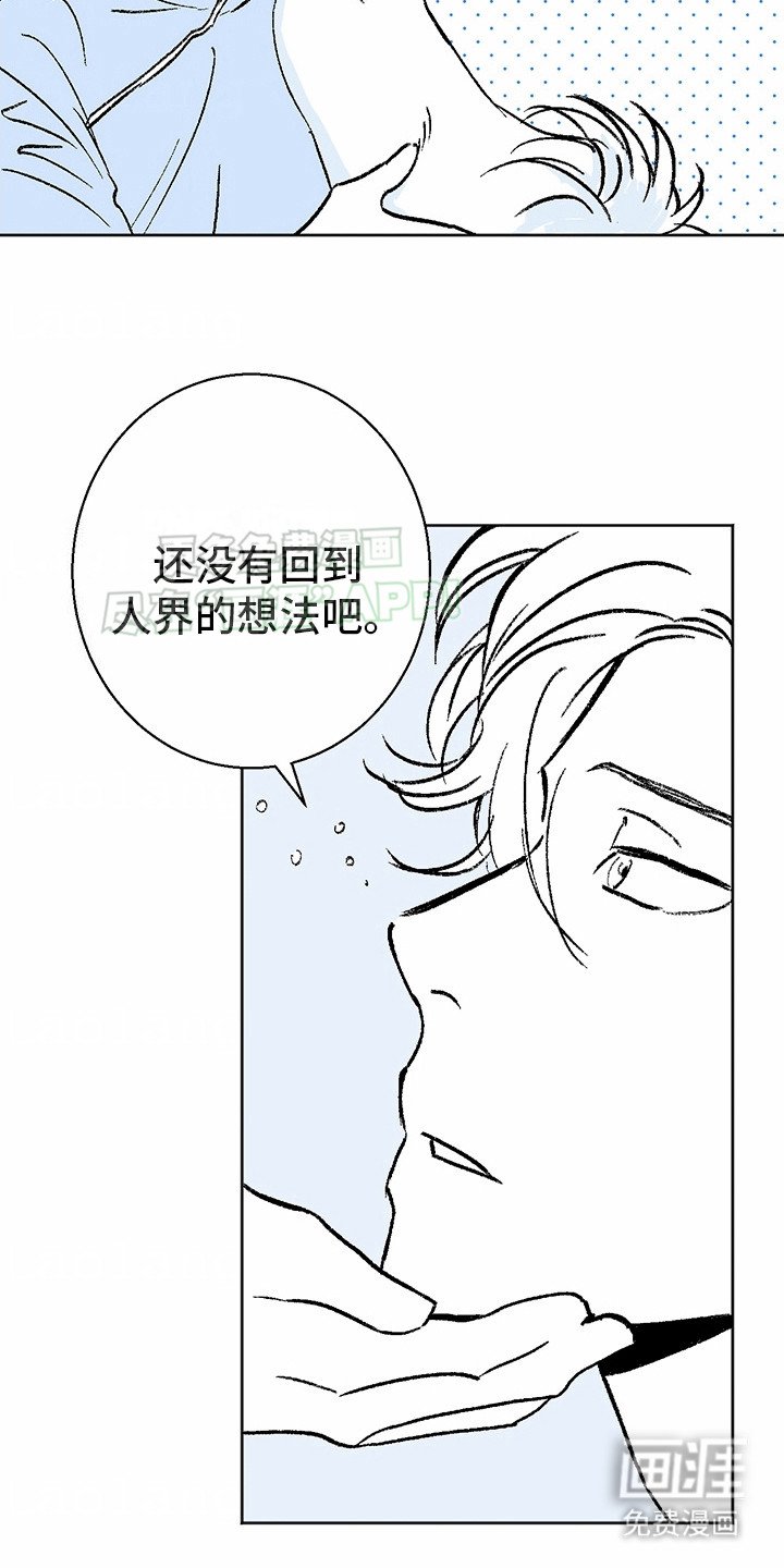 第3章：狼新娘：连心草