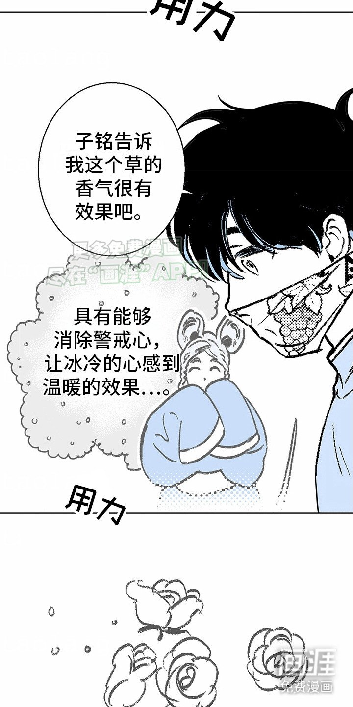 第3章：狼新娘：连心草