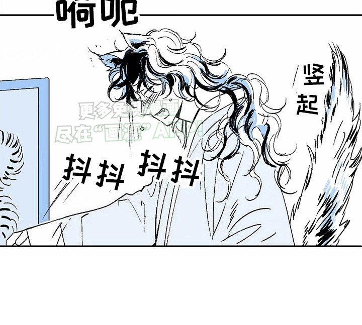第4章：狼新娘：效果显著（完） 