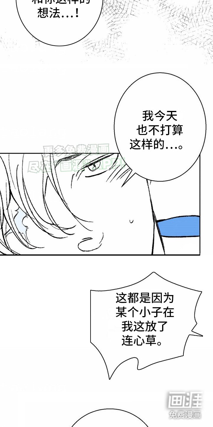 第4章：狼新娘：效果显著（完） 