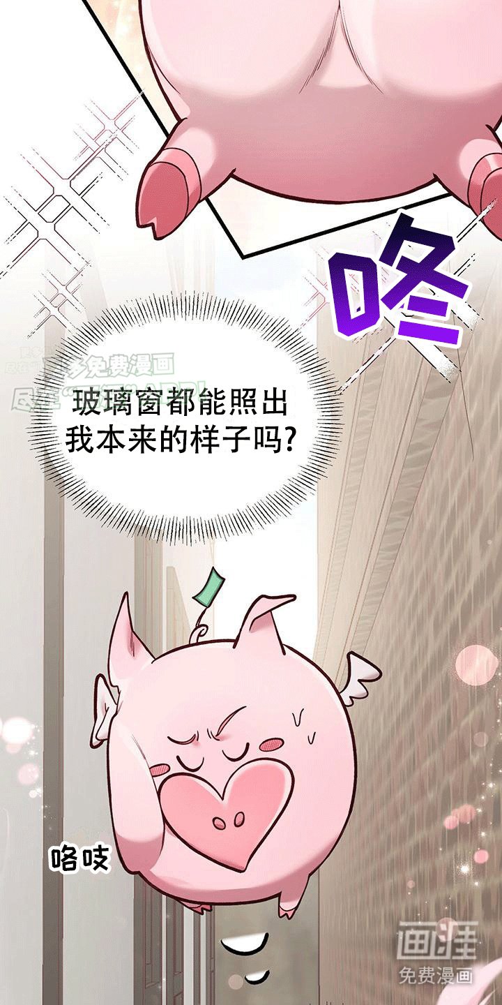第0章：预告
