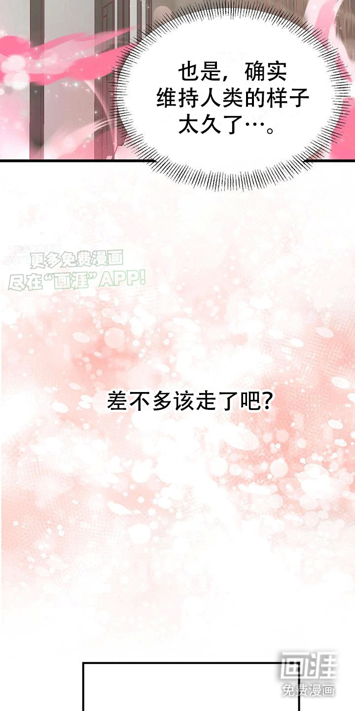第0章：预告