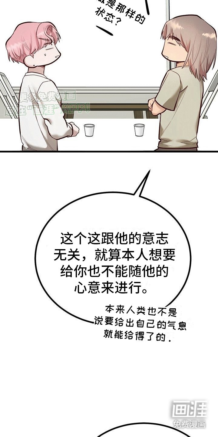 第12章：外援