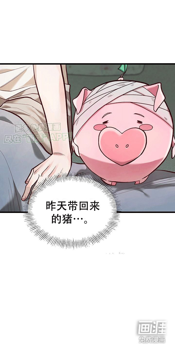 第3章：带回家