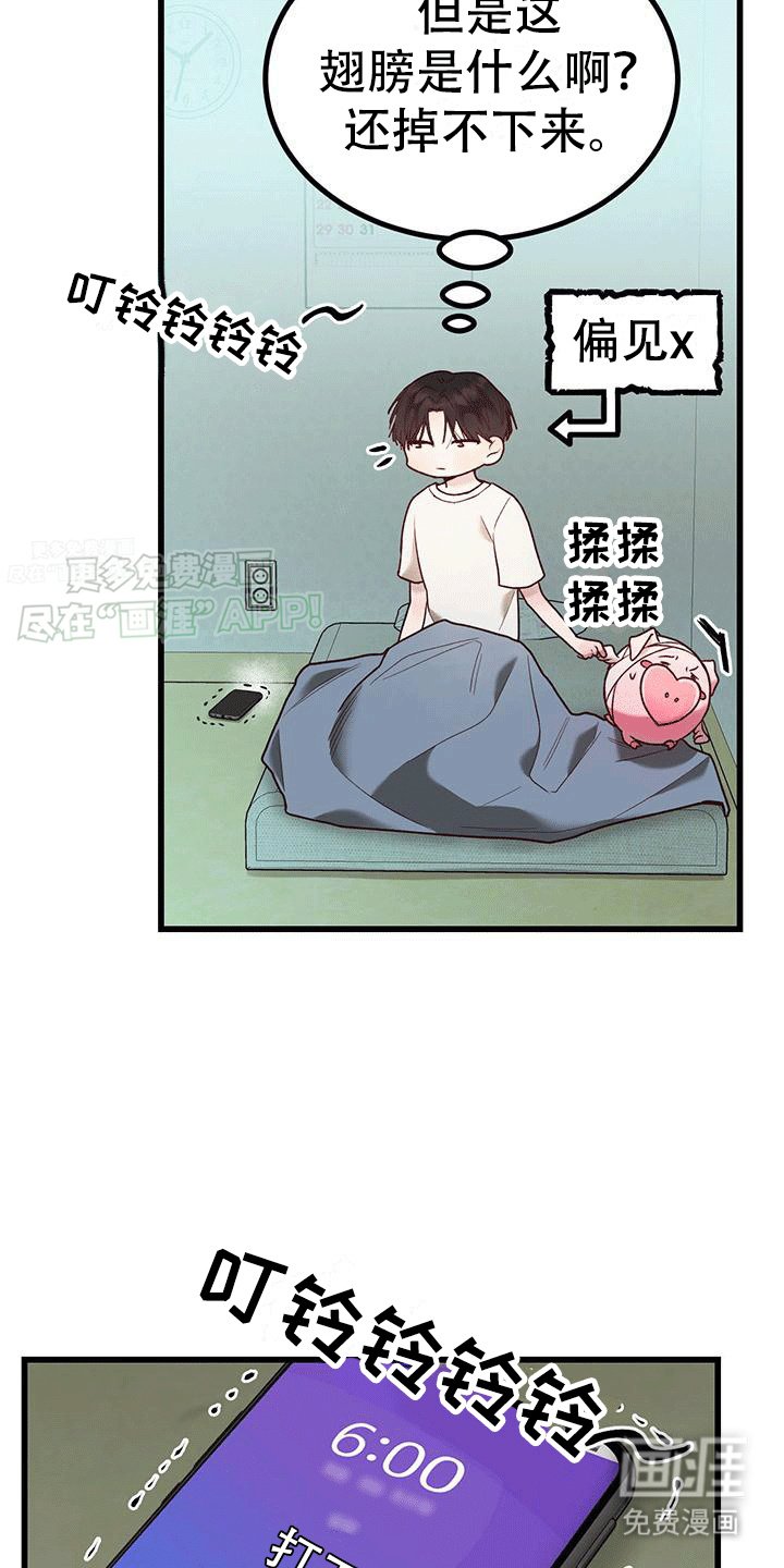 第3章：带回家