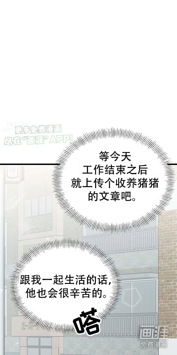 第3章：带回家