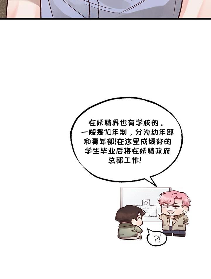 第41章：诚意