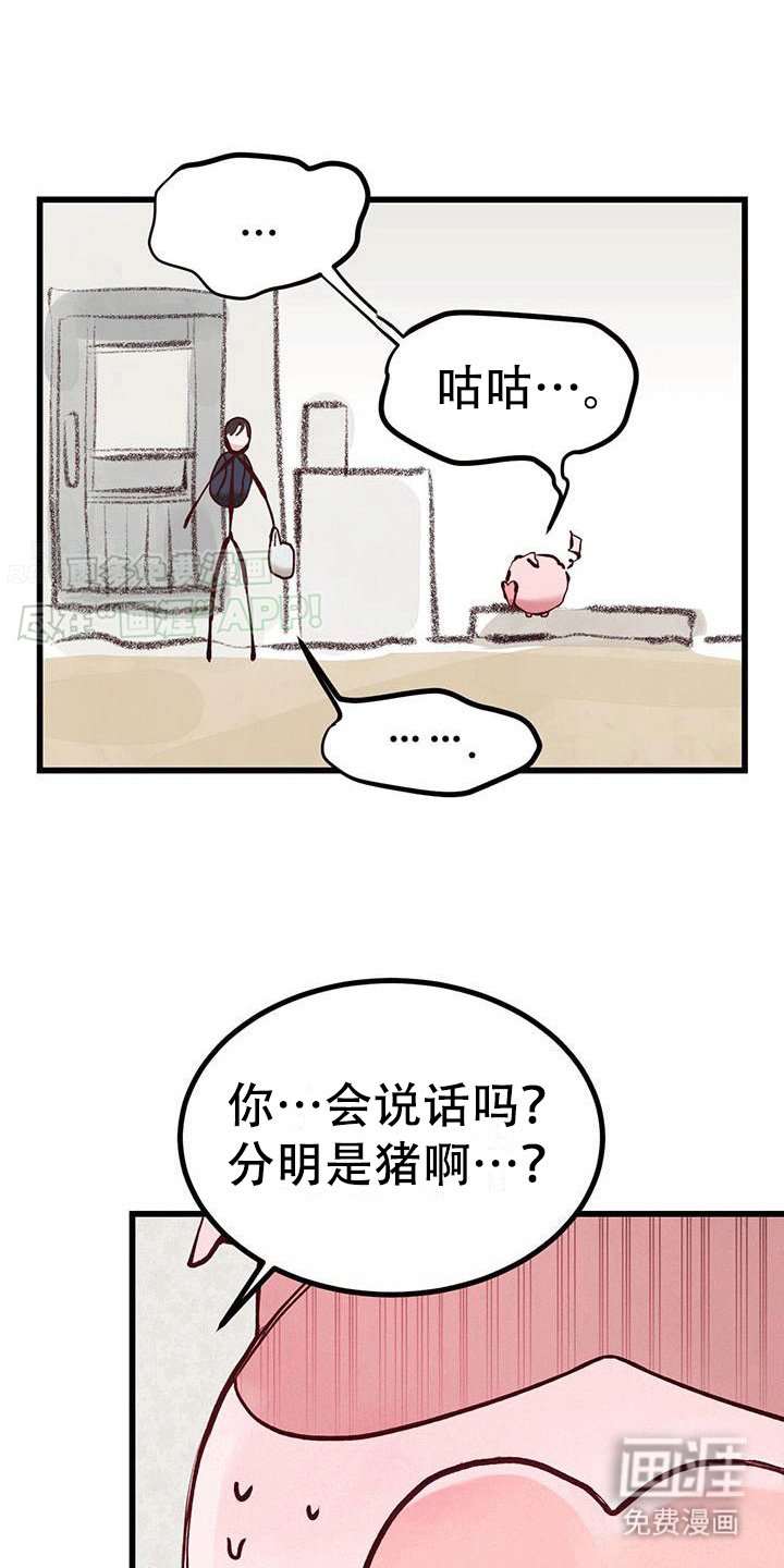 第6章：财运消失