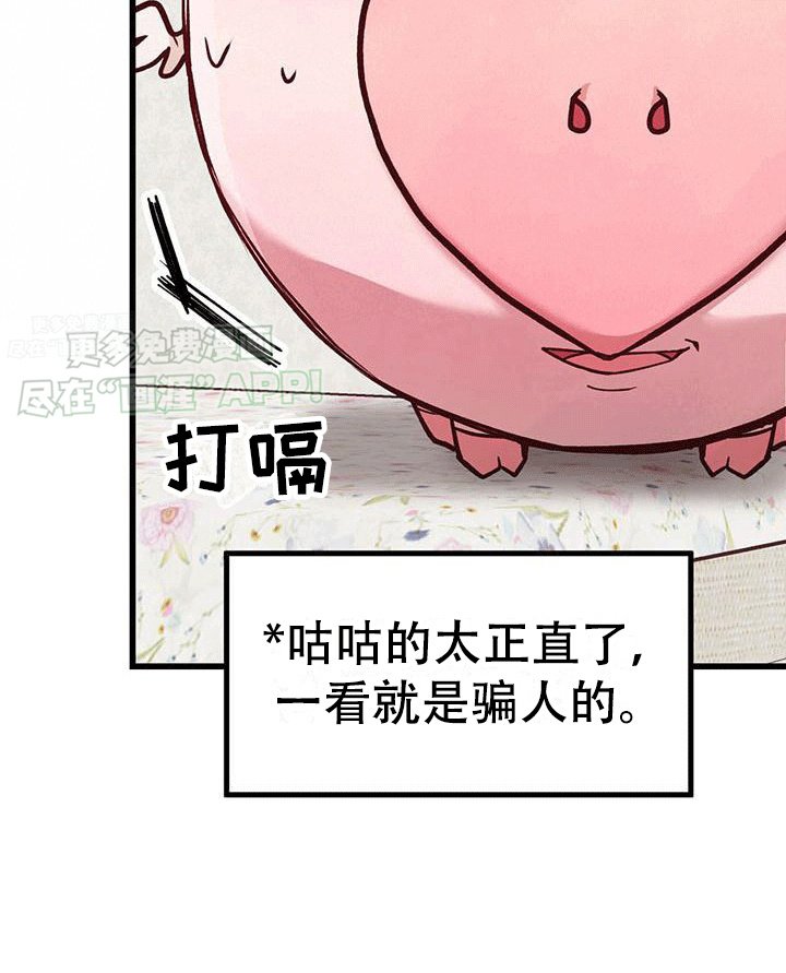 第6章：财运消失