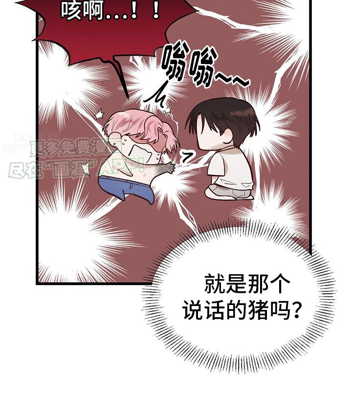 第8章：财运真相