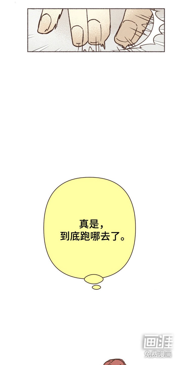 第100章：失踪