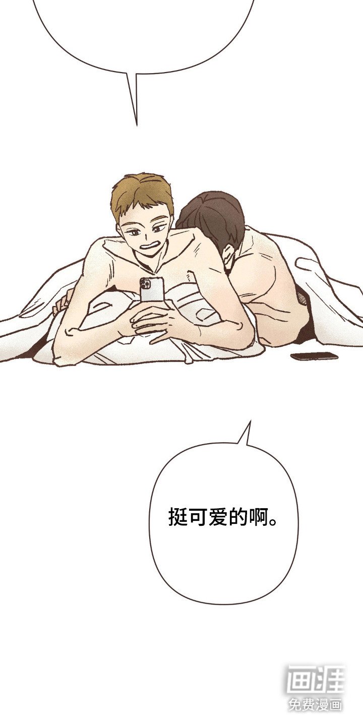 第113章：突然信息