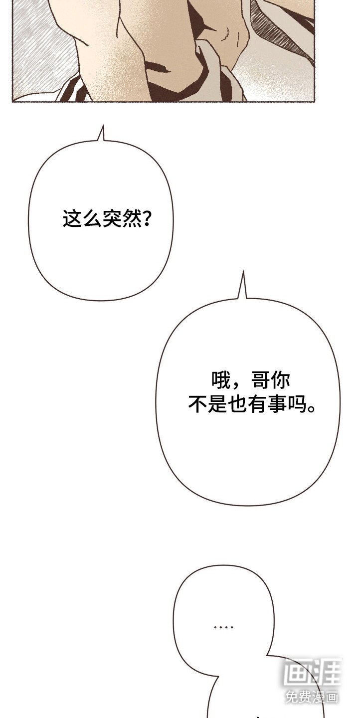 第114章：出门见面