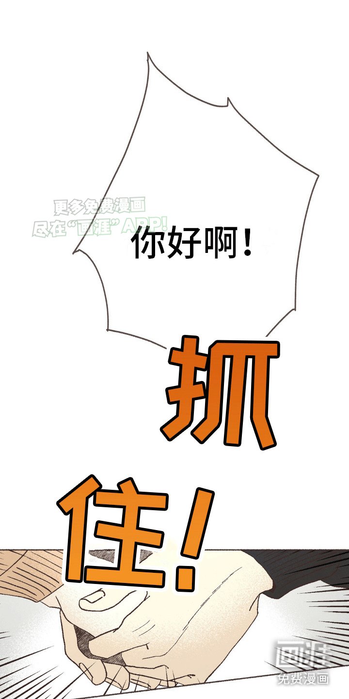 第12章：一见钟情