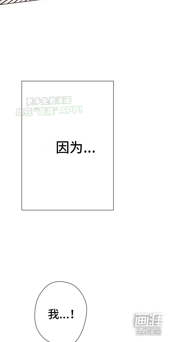第12章：一见钟情