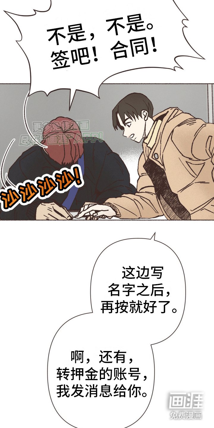 第12章：一见钟情