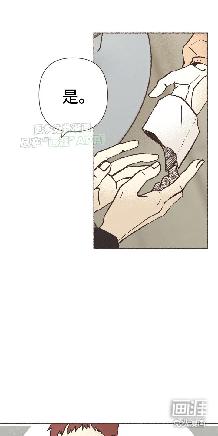 第12章：一见钟情