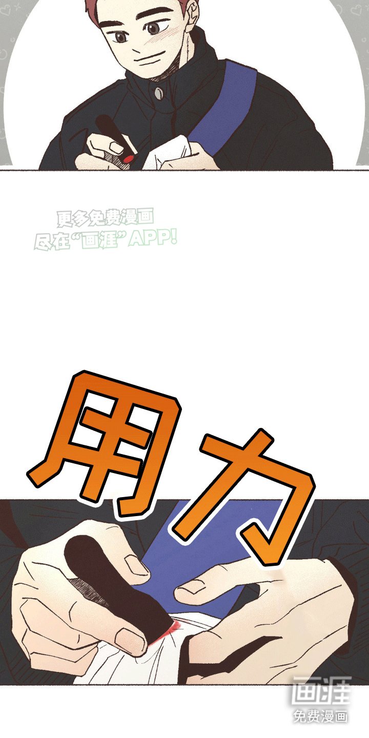 第12章：一见钟情