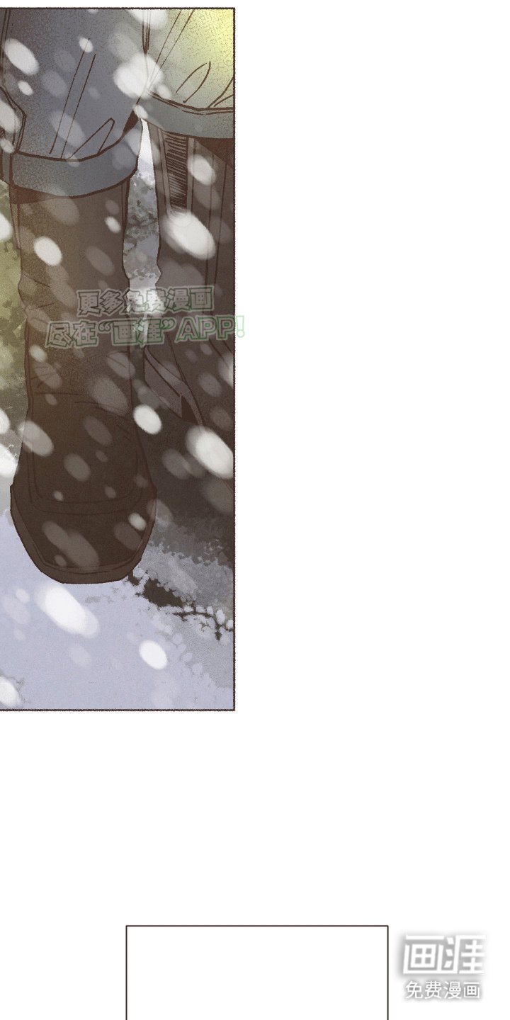 第13章：下雪