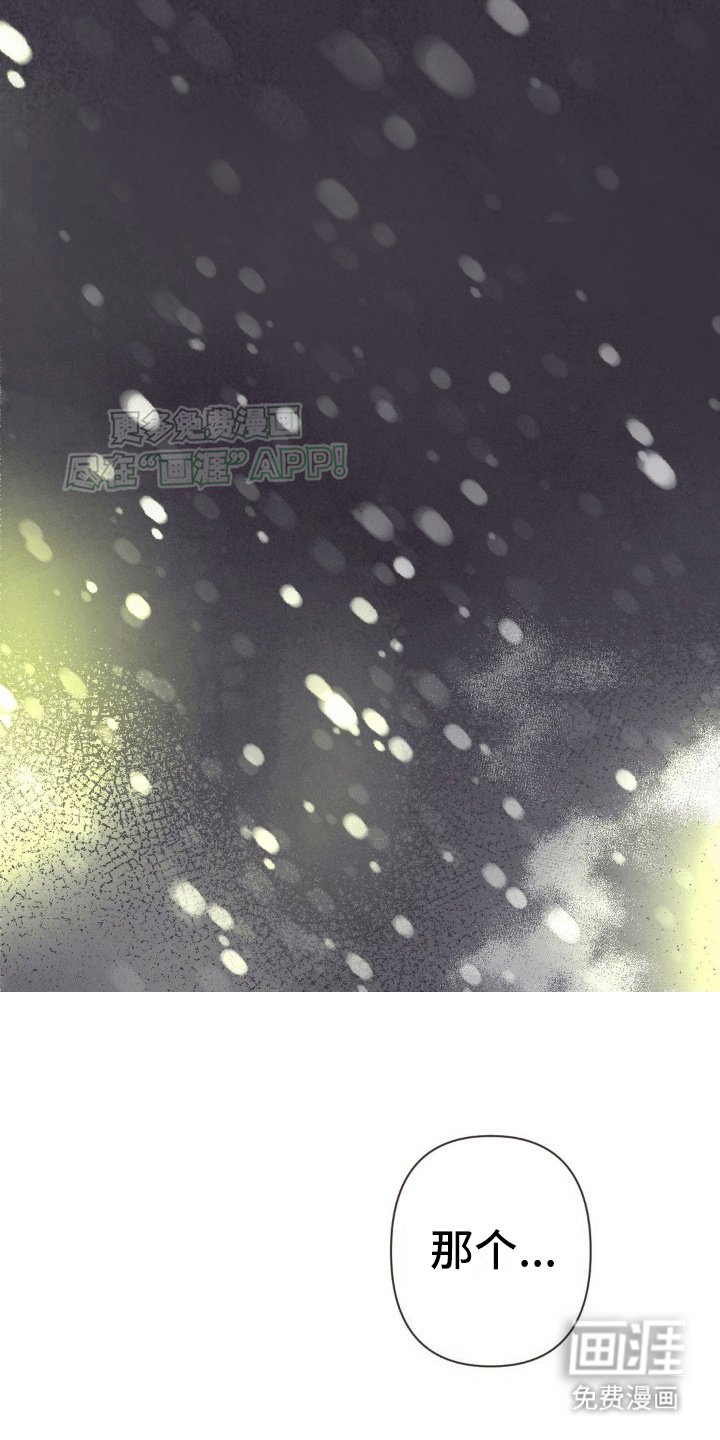 第13章：下雪