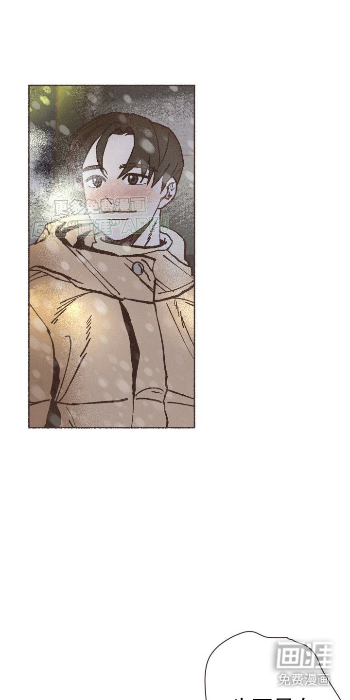 第14章：治愈家庭剧