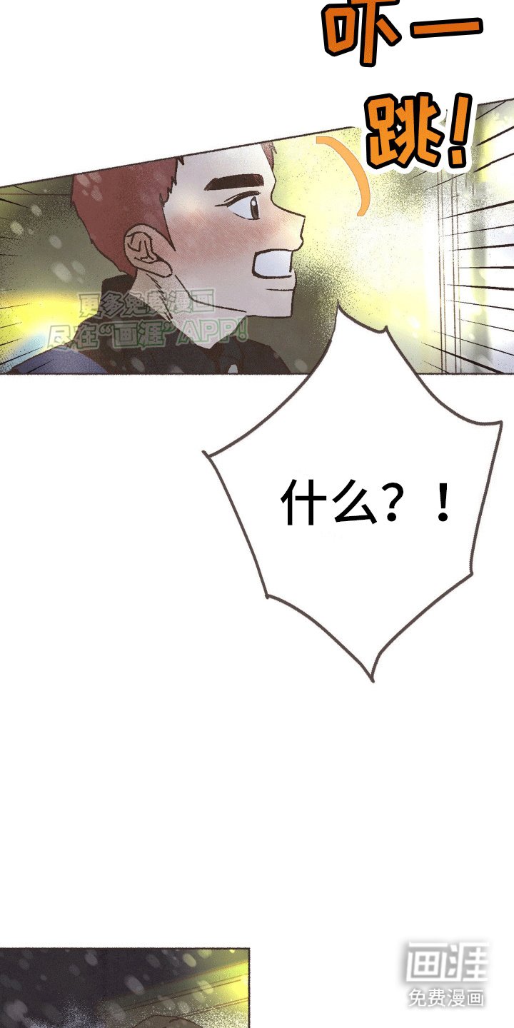 第14章：治愈家庭剧
