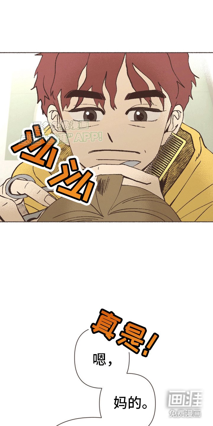 第14章：治愈家庭剧
