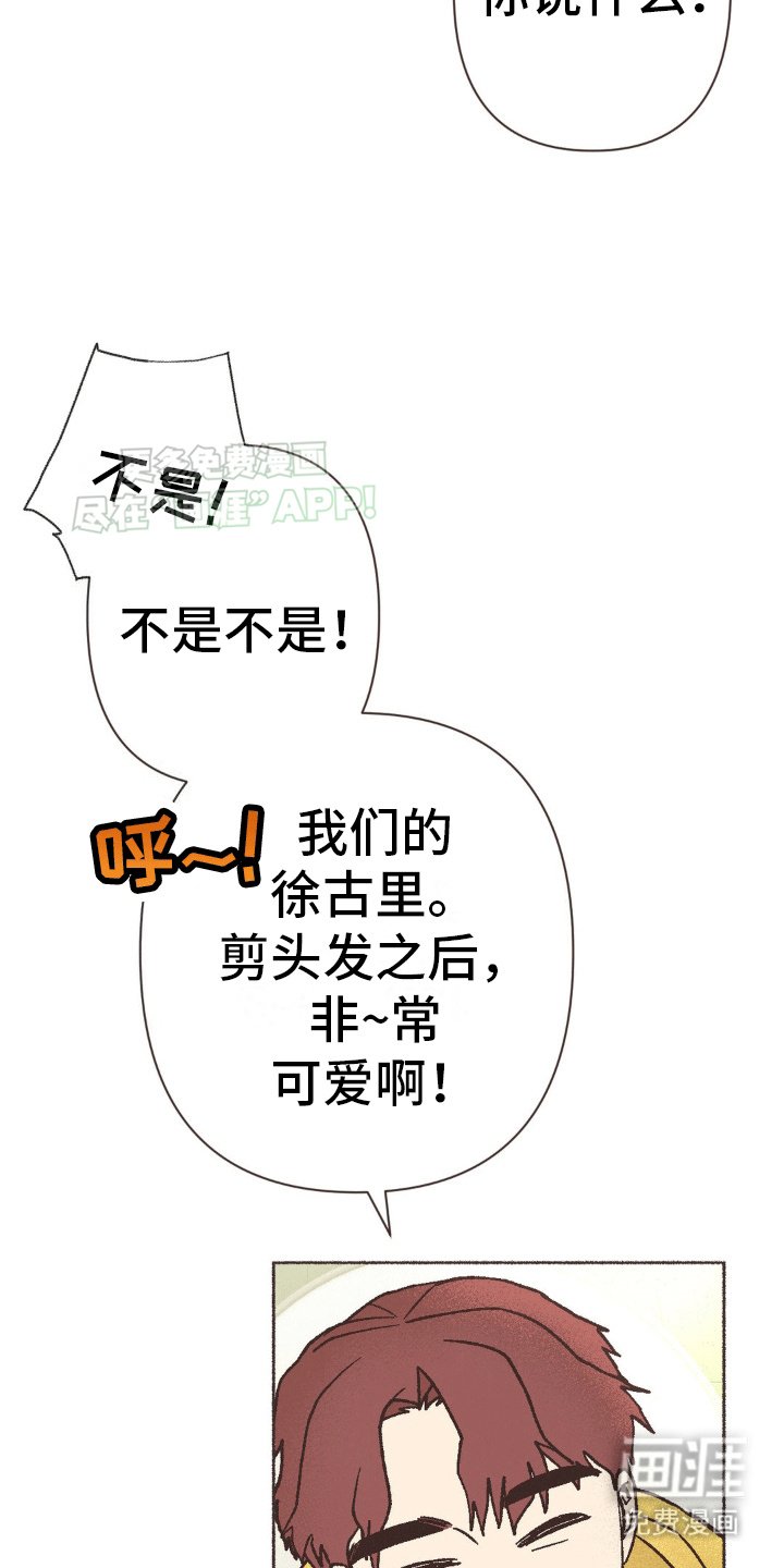 第14章：治愈家庭剧