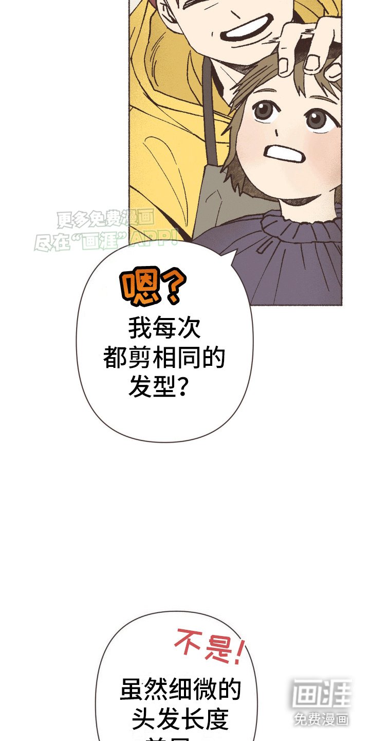 第14章：治愈家庭剧