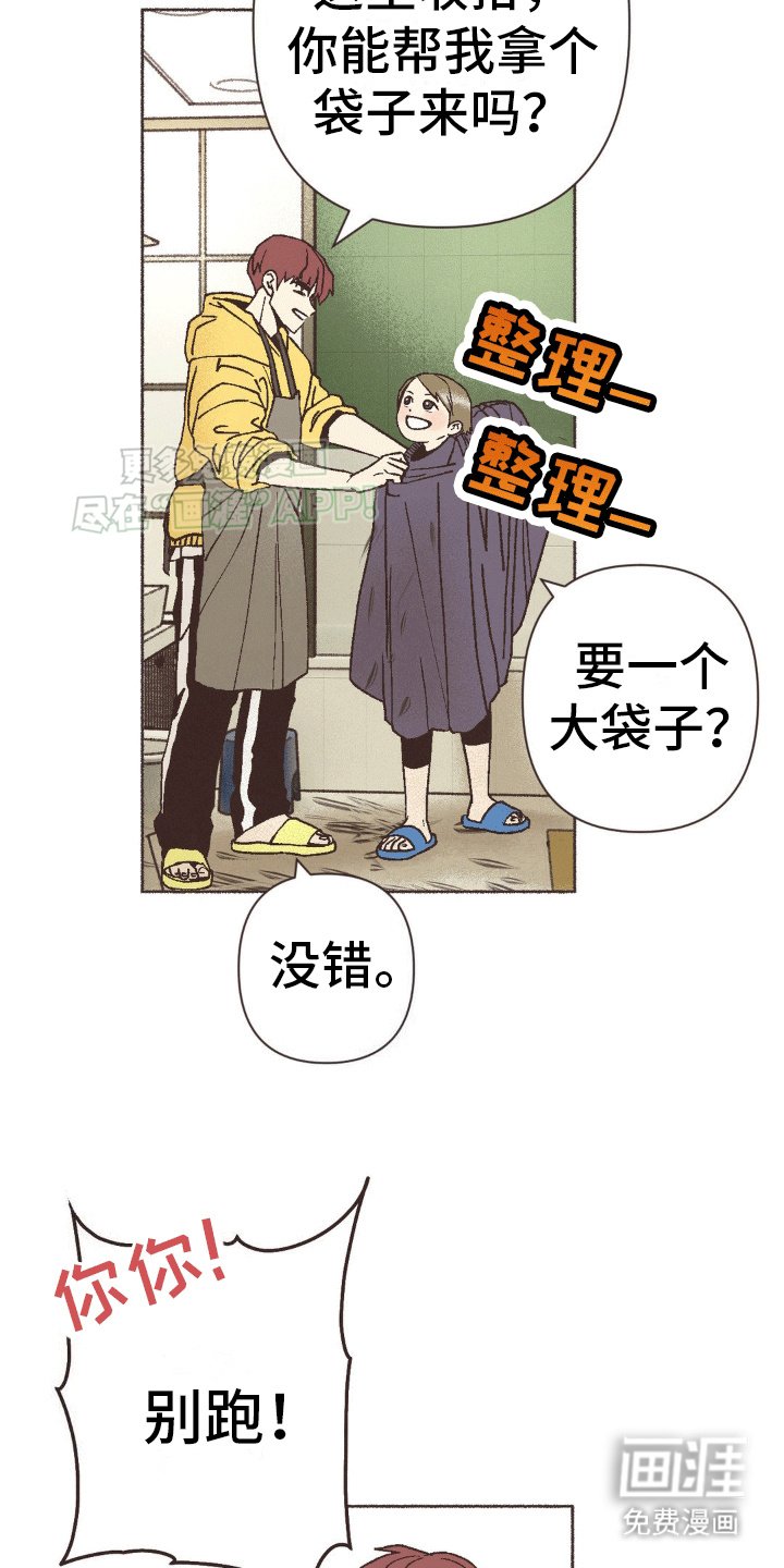 第14章：治愈家庭剧