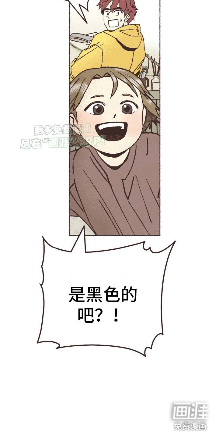 第14章：治愈家庭剧