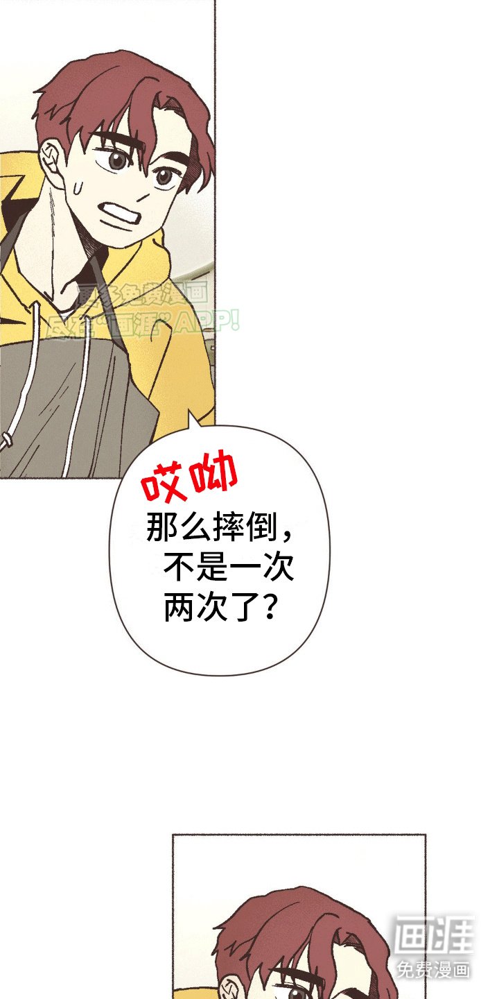 第14章：治愈家庭剧
