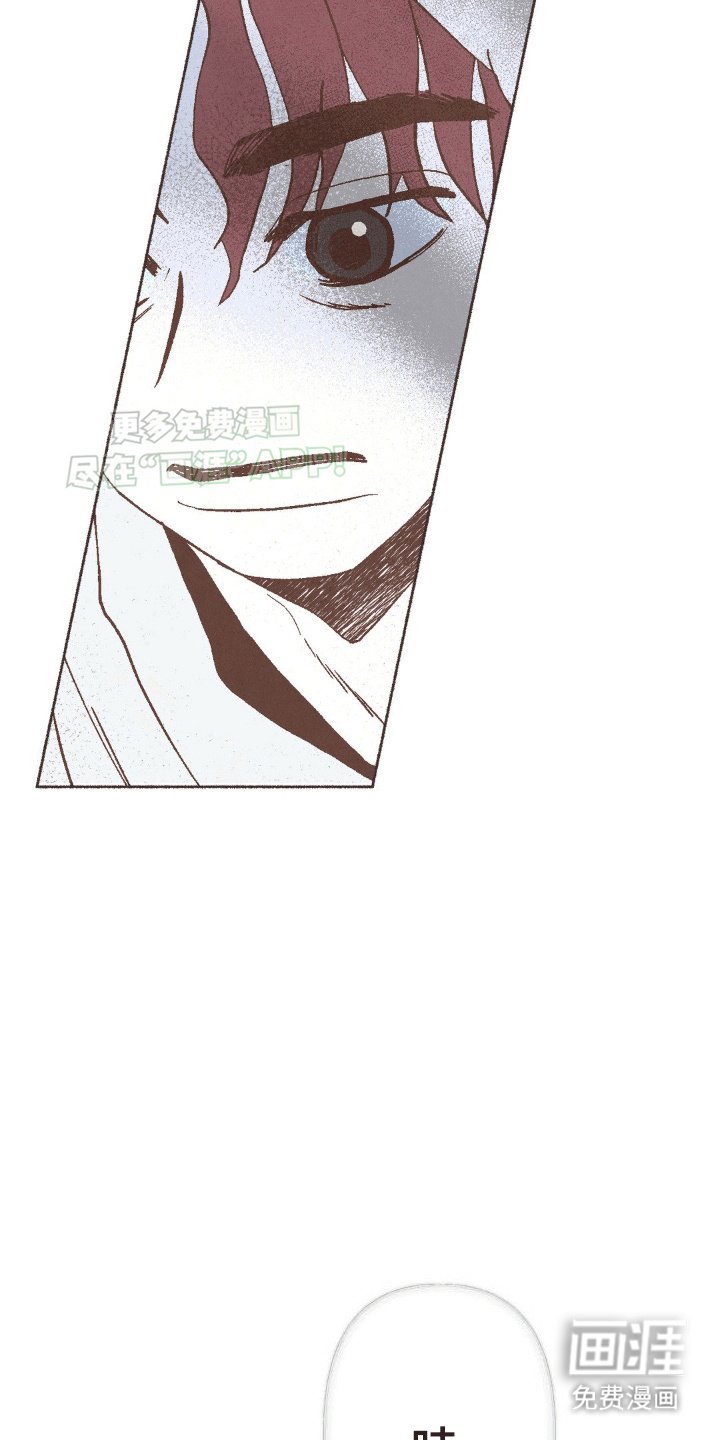第19章：稳定的感觉