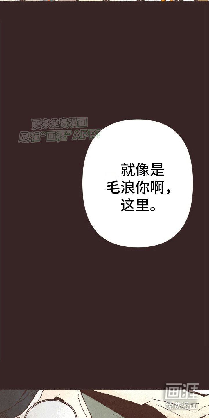 第19章：稳定的感觉