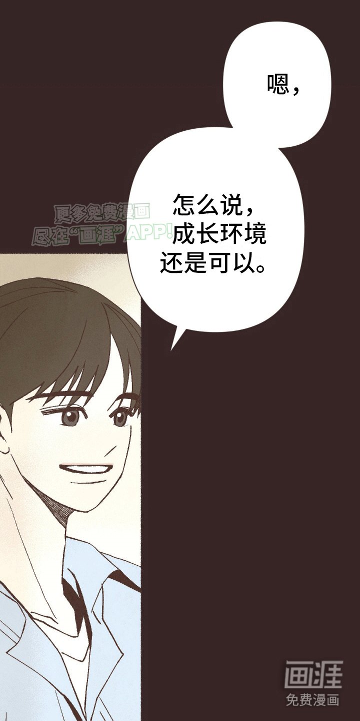 第19章：稳定的感觉
