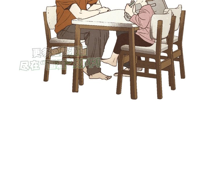 第21章：相同的想象