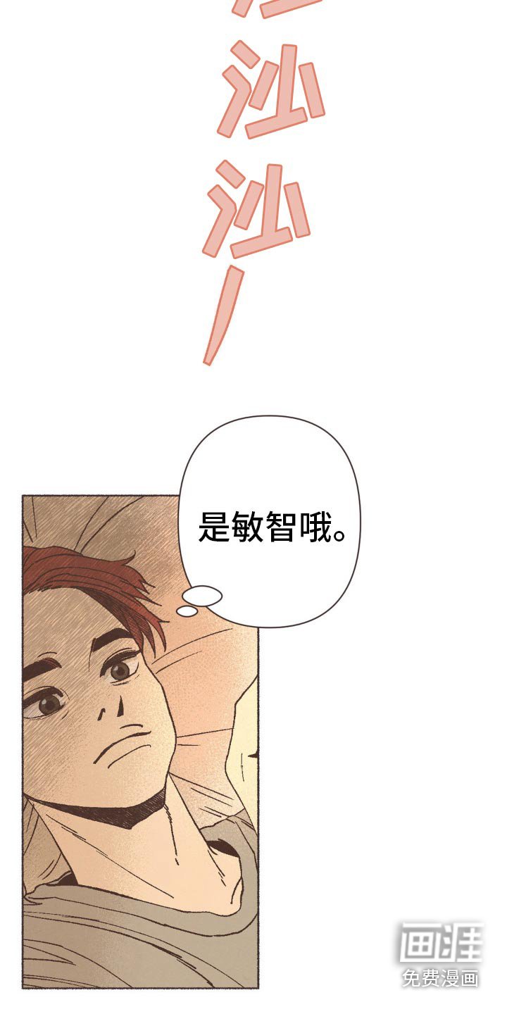 第24章：谎言