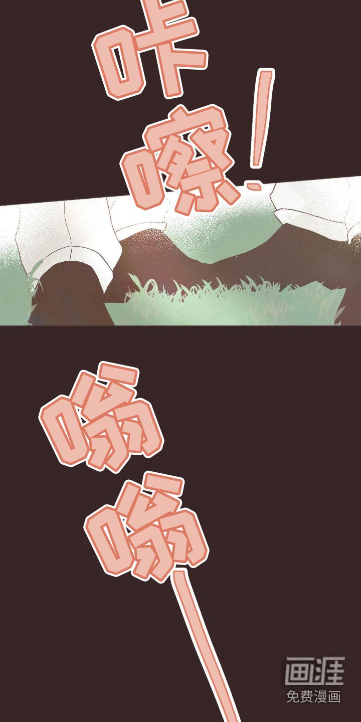 第24章：谎言
