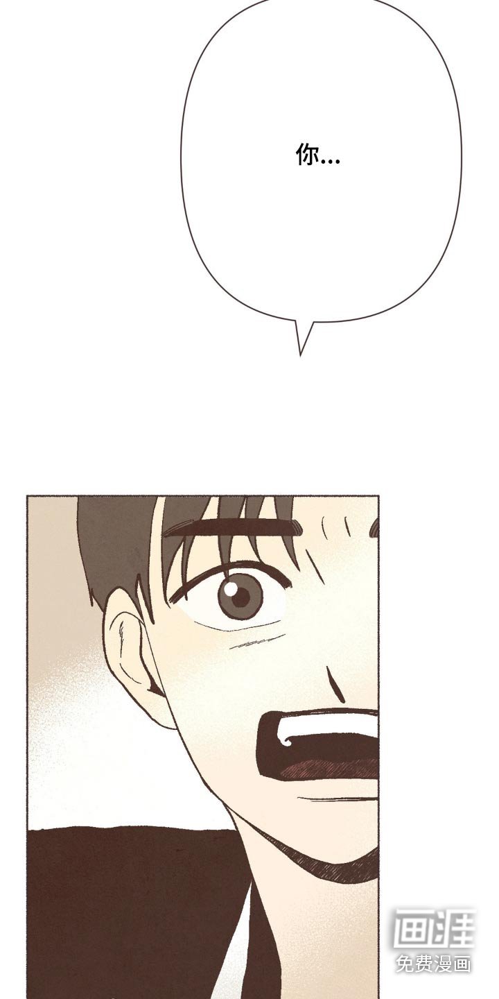 第29章：观点