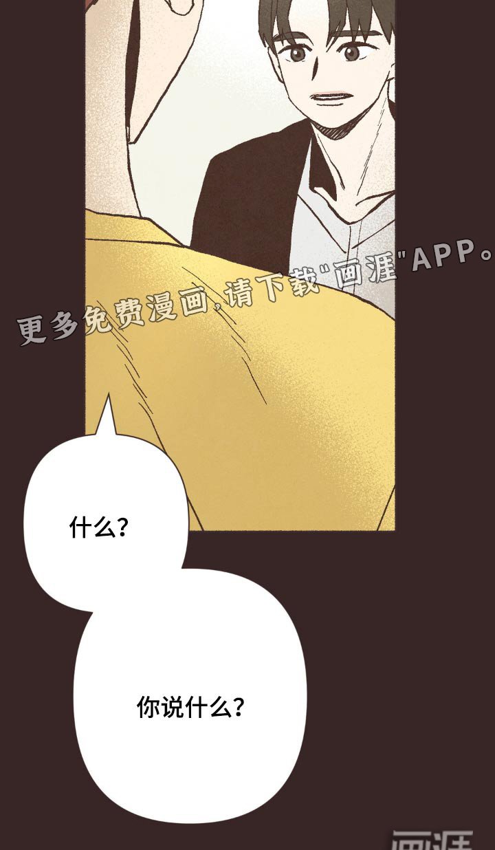 第29章：观点