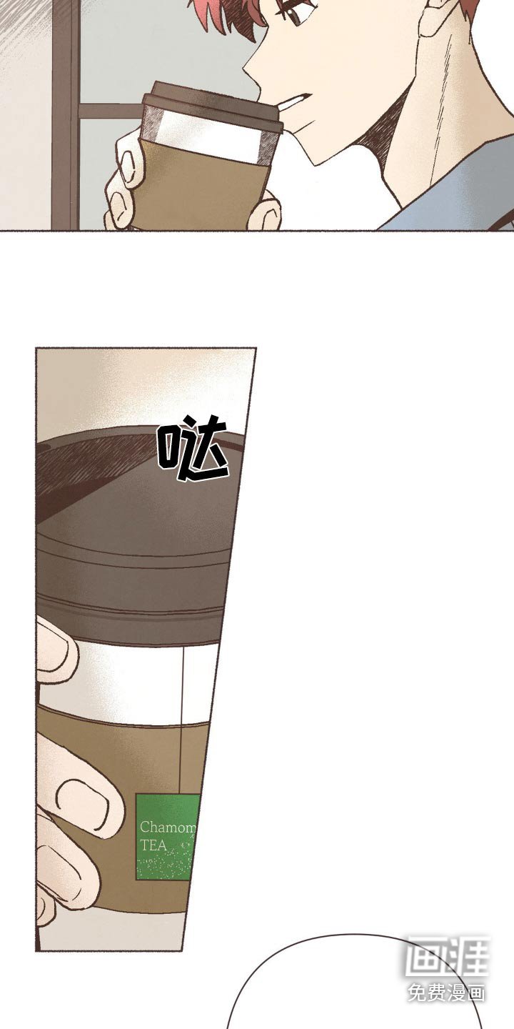 第30章：伤害