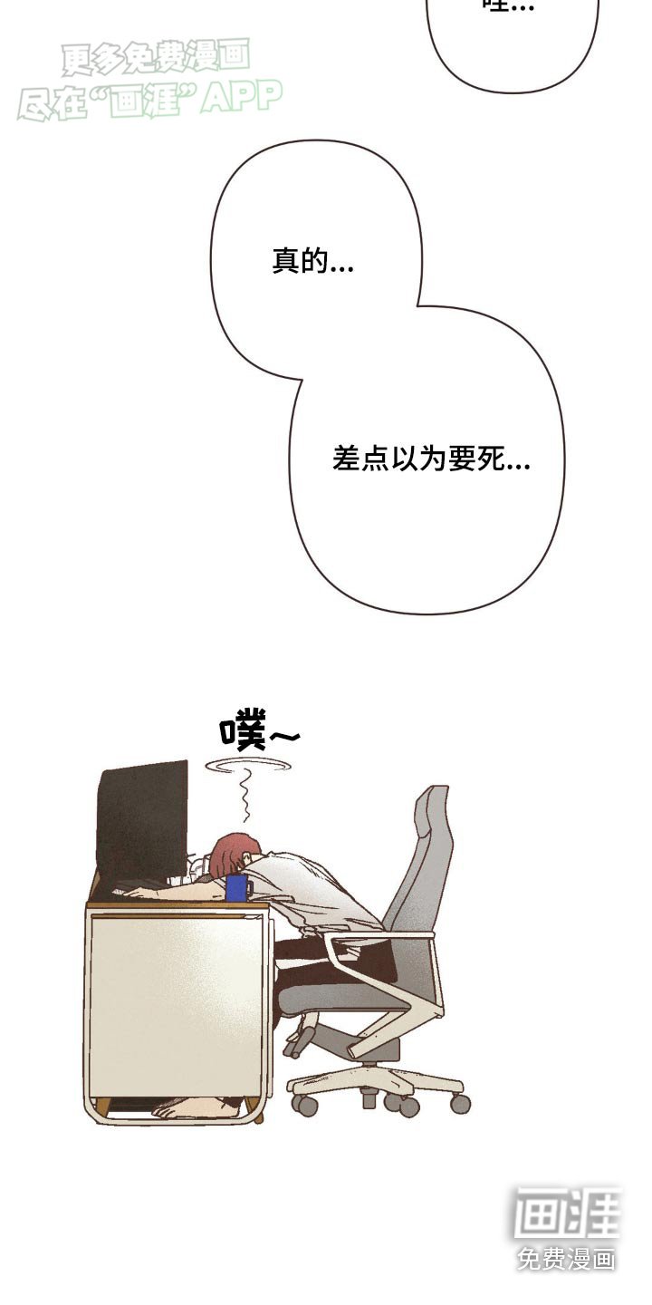 第32章：丰富