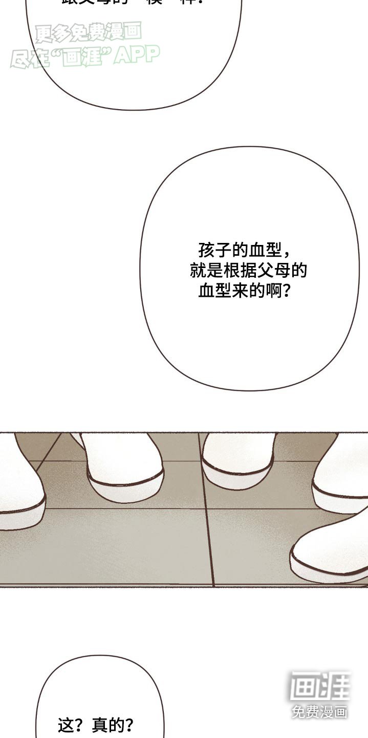 第33章：血型