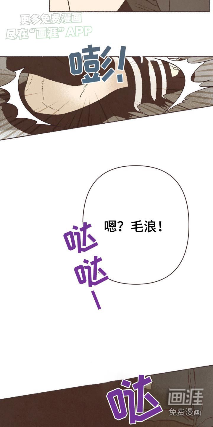 第36章：小心