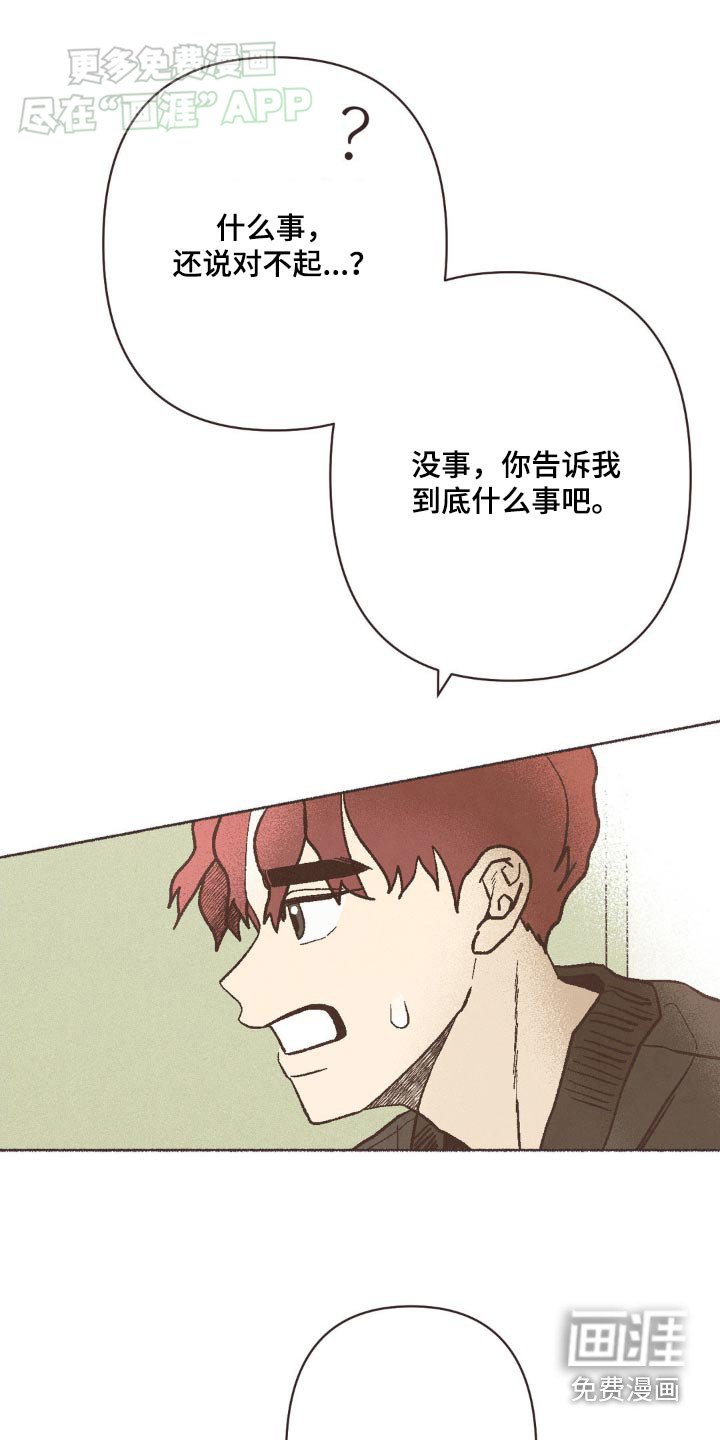 第38章：对不起你