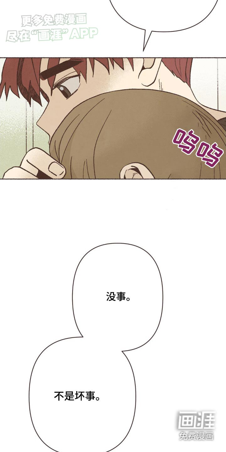 第38章：对不起你