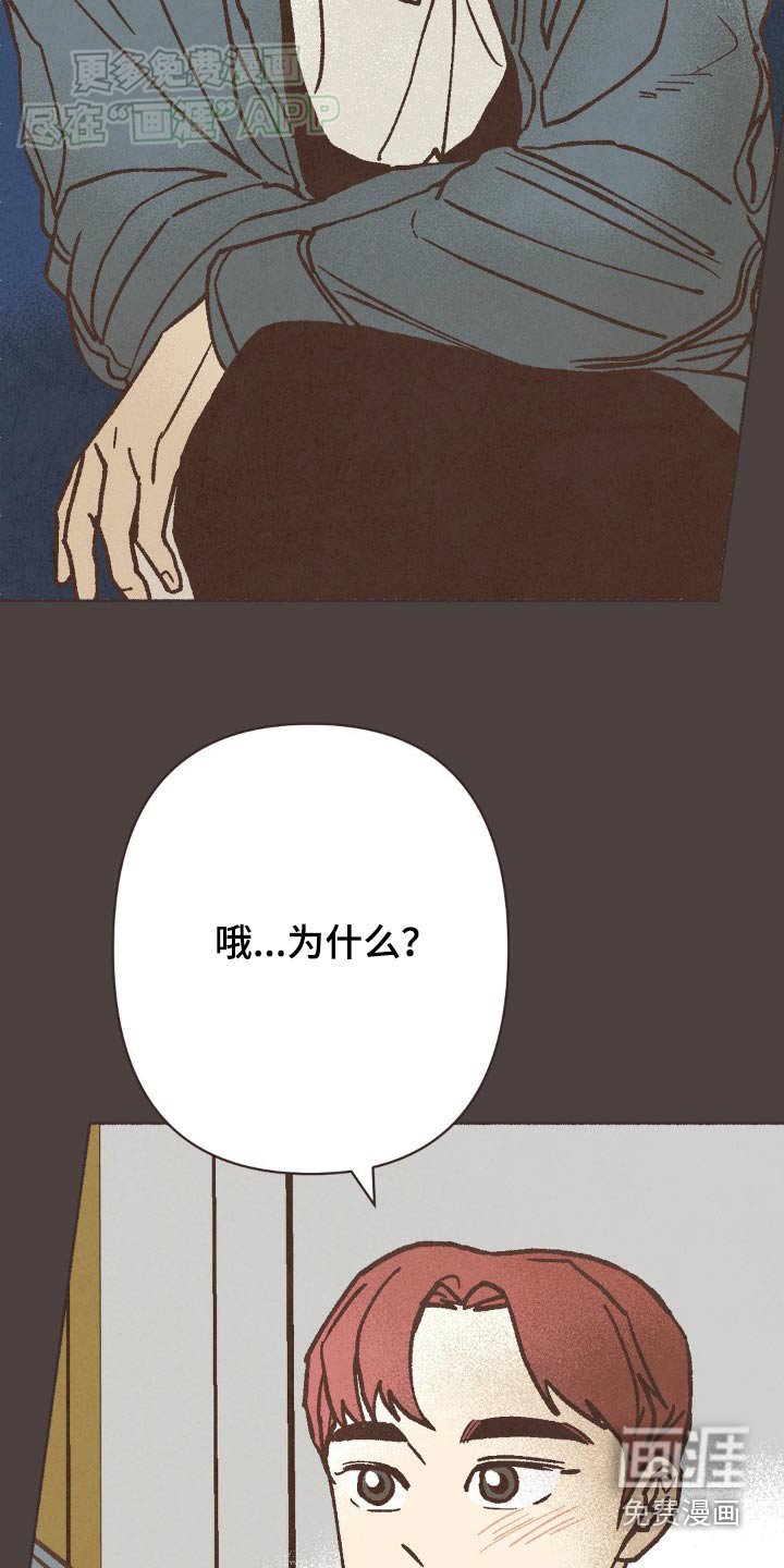 第52章：因为你