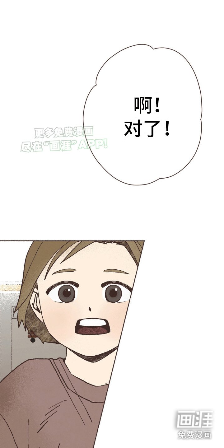 第6章：另一个抚养人