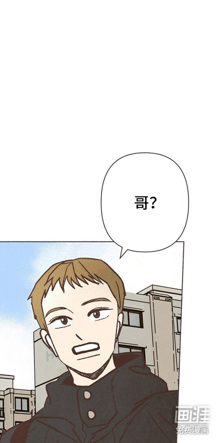 第72章：太委屈了？